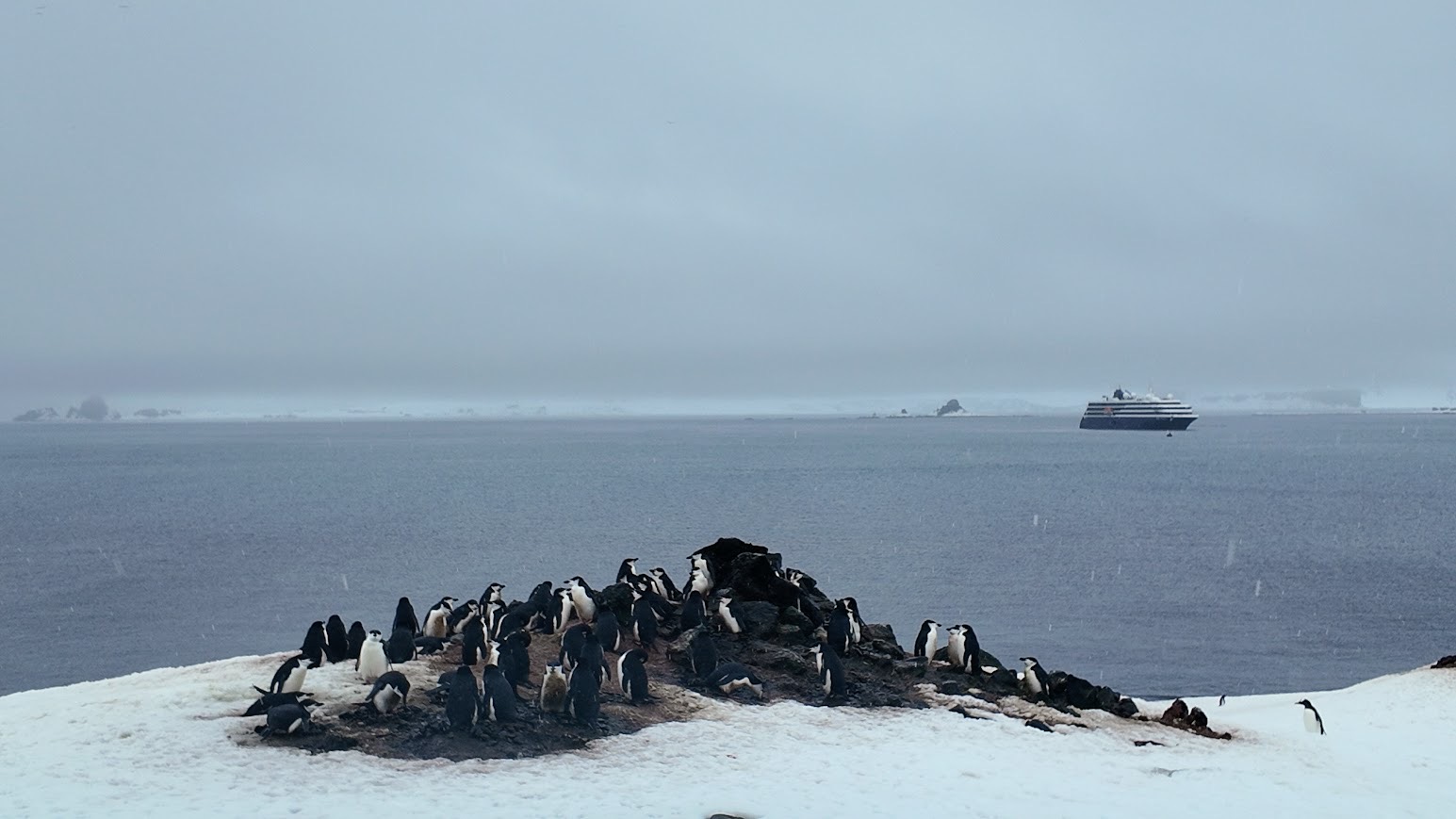 Expedition Cruises: Enhance Your Bucket List Adventure