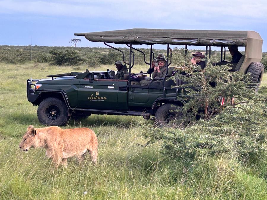 Best Country for African Safari (and How to Choose the Right One)